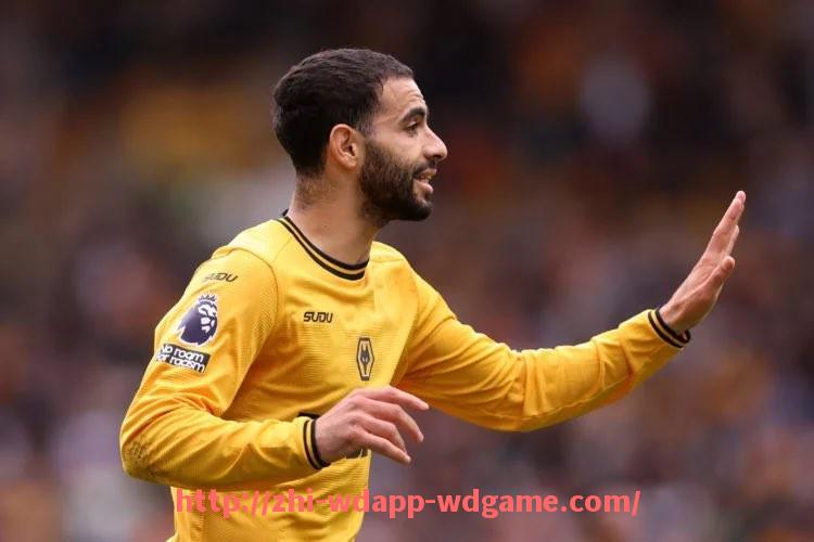 问鼎娱乐官网-法甲里昂与蒙彼利埃交锋记录的历史回顾