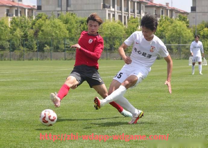 问鼎娱乐官网-世俱杯中锋支点型球员角色分析与各队战术依赖程度评估