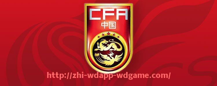 问鼎娱乐官网-世俱杯比赛技术评分统计及球员综合表现评估报告