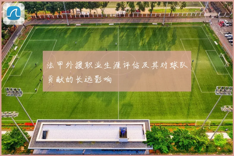 法甲外援职业生涯评估及其对球队贡献的长远影响