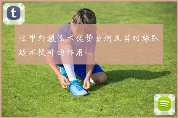 法甲外援技术优势分析及其对球队战术提升的作用